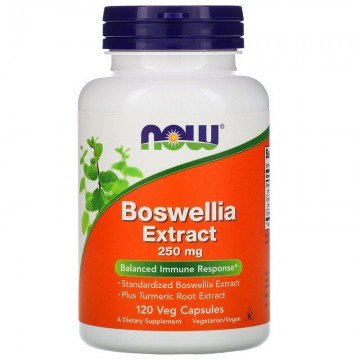 BOSWELLIA EXTRACT 250 мг (экстракт босвеллии) 120 капсул NOW Foods