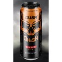 Qhush Ginger Kick (энергетический напиток) 500 мл USN