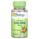 Uva Ursi Leaf (Листья Толокнянки) 460 мг 100 растительных капсул Solaray