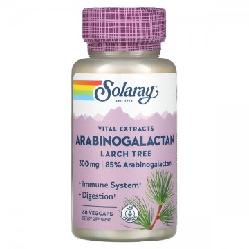Arabinogalactan Larch Tree 300 мг (Арабиногалактан) 60 растительных капсул Solaray