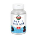 Комплекс витаминов B KAL B6 B12 Folic Acid 60 ягодных пастилок