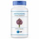 Artichoke extract 450 мг (экстракт артишока)  90 растительных капсул SNT