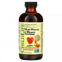 Multi Vitamin & Mineral Liquid (комплекс витаминов для детей) 237 мл ChildLife