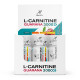 L-Carnitine + Guarana Shot 60 мл JUST FIT